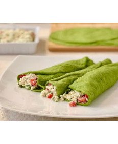 Vegano Suculento