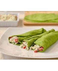 Vegano Suculento